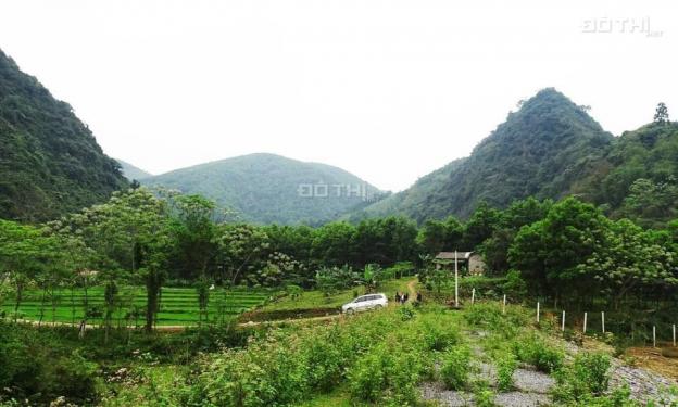 Chuyển nhượng 16000m2 đất rừng sản xuất bám hồ tại Lương Sơn 13453902