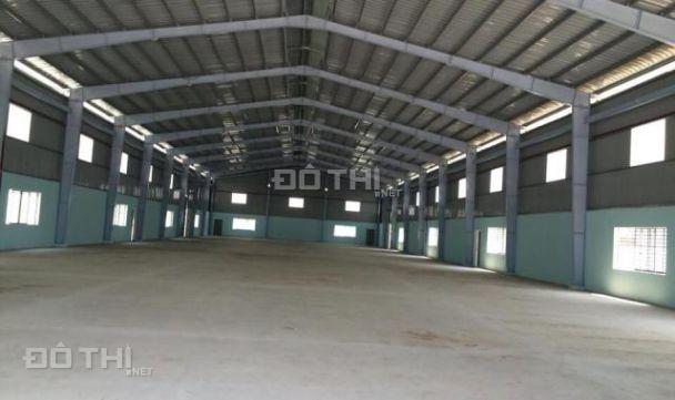 Bán kho xưởng lớn mới xây 1254m2 tại An Phú Đông, Quận 12 13456395
