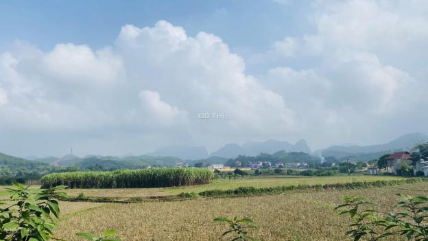Cơ hội sở hữu ngay 6.424m2 đất thổ cư view tuyệt đỉnh tại Kim Bôi, Hòa Bình 13460347