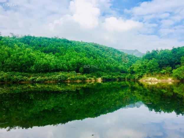 Cần bán gấp 1,1 ha đất bám hồ Kim Bôi quá đẹp, gần đường QL, khu du lịch giá đầu tư 13460392