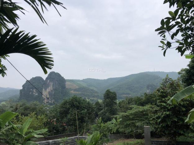 Bán nhanh 4.238m2 đất thổ cư cạnh sân golf Phượng Hoàng tại Lương Sơn, Hòa Bình 13466136