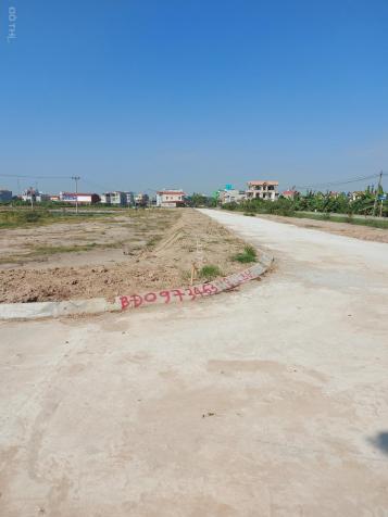 Bán đất tại đường 396 C, xã Tân Quang, Ninh Giang, Hải Dương diện tích 75m2 giá 18 Triệu/m2 13472304
