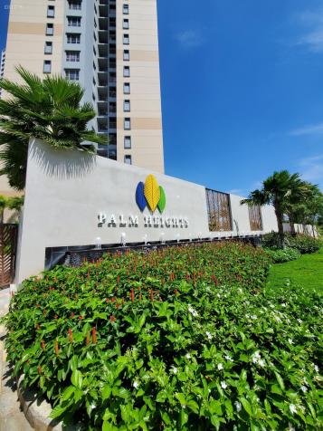 Rẻ thật rẻ căn hộ Palm Heights, giảm giá cực sốc 2PN & 3PN rẻ hơn thị trường 300tr 13476264