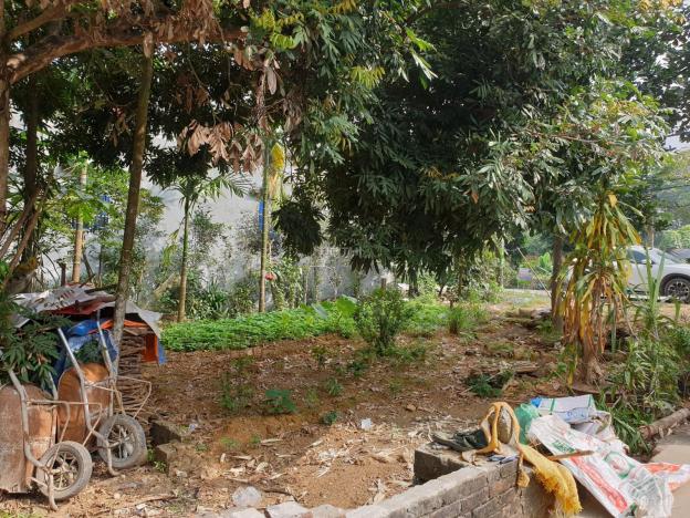 Bán đất tại xã Phú Mãn, Quốc Oai, Hà Nội diện tích 125m2, full thổ cư, giá đầu tư 13476951