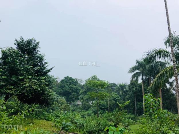 Chính chủ bán đất siêu phẩm nghỉ dưỡng Phú Mãn, Quốc oai, diện tích 6400m2, giá đầu tư 13477368