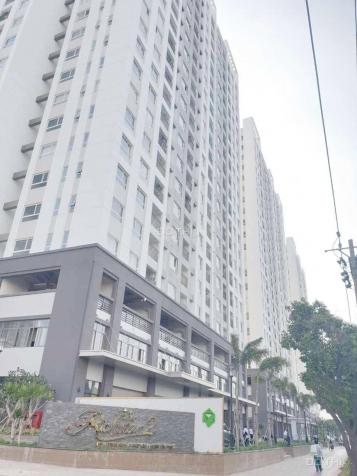 Cho thuê căn hộ Richstar Quận Tân Phú, 65 m2 (2PN - 2WC), giá 9 tr/tháng 13479470