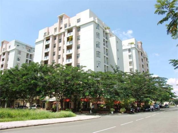 Cho thuê căn hộ chung cư tại chung cư Mỹ Viên, Quận 7, Tp.HCM diện tích 120m2, giá 13 tr/th 13526357