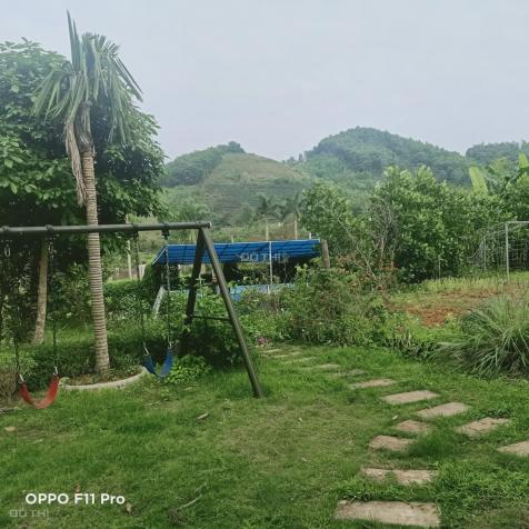 Bán căn nhà vườn 1317m2 đất gần khu sinh thái Long Việt Ba Vì 13486198