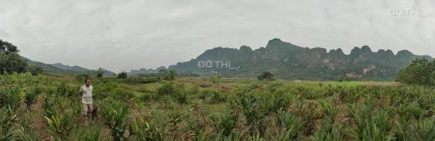 Cần sang nhượng 3.566m2 đất thổ cư view tuyệt đẹp tại Lương Sơn, Hòa Bình 13487442