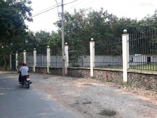Cần bán 2 lô đất mặt tiền đường Trần Thị Thuận, An Nhơn Tây, Củ Chi, HCM giá đầu tư 13493746