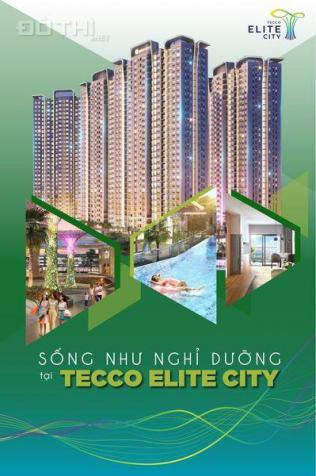 Bán căn hộ chung cư tại dự án Tecco Elite City, Thái Nguyên, Thái Nguyên diện tích 82m2 13494565