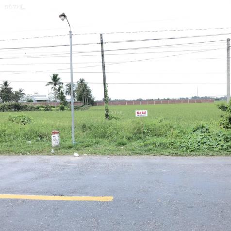 Bán lô đất mặt tiền 45m ngang tại Quốc Lộ 60, xã Trường Khánh, Huyện Long Phú, Tỉnh Sóc Trăng 13496613