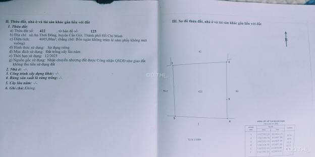 Bán đất tại đường Lý Nhơn, Xã An Thới Đông, Cần Giờ, Hồ Chí Minh diện tích 6000m2 giá 8,4 tỷ 13499629