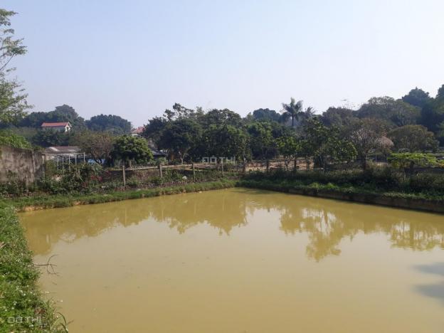 Bán trang trại kết hợp nghỉ dưỡng tại Lương Sơn, Hòa Bình diện tích 4.408m2 13500517