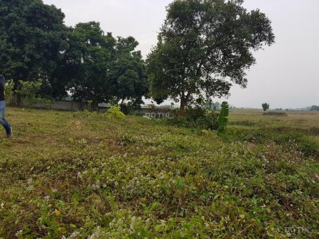 Bán siêu phẩm đất nghỉ dưỡng tuyệt đẹp tại Lương Sơn, Hòa Bình diện tích 3.104m2 13500560
