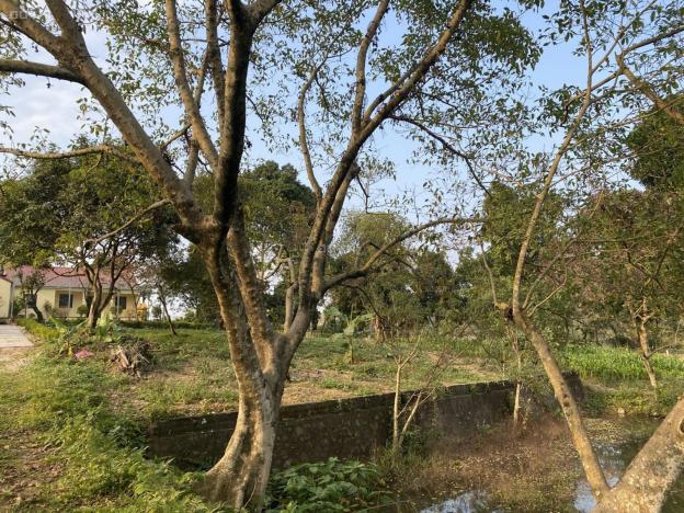 Khuôn viên 2.6ha ở Lương Sơn, Hòa Bình giá chỉ 4 tỷ. LH 0917.366.060/0948.035.862 13500601