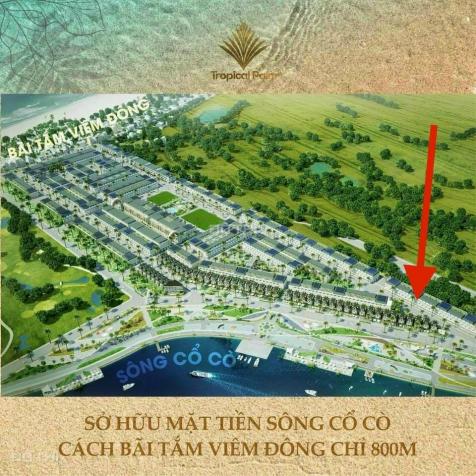 Cơ hội vàng sở hữu đất ven biển Đà Nẵng - Quảng Nam giá rẻ, Lumina Tropical Palm 13501083