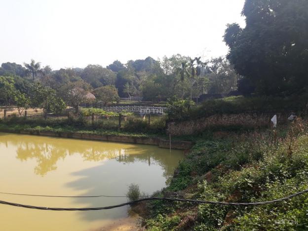 Bán đất làm trang trại kết hợp nghỉ dưỡng tại Lương Sơn, Hòa Bình diện tích 4.408m2 13501143