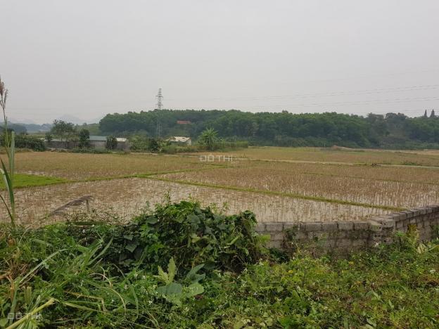 Bán siêu phẩm đất nghỉ dưỡng tuyệt đẹp tại Lương Sơn, Hòa Bình diện tích 3.104m2 13501163