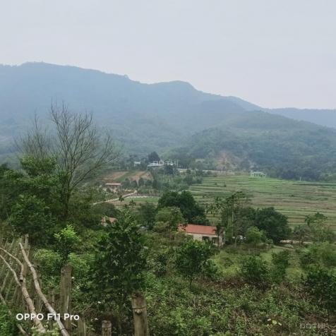 Bán 6000m2 đất tại Phú Mãn, view cao thoáng bát ngát cánh đồng và núi LH 0978659546 13501427