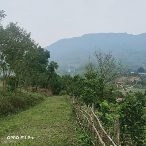 Bán 6000m2 đất tại Phú Mãn, view cao thoáng bát ngát cánh đồng và núi LH 0978659546 13501427