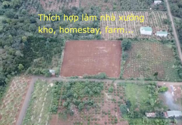 Chính chủ bán lô đất lớn tại TP. Buôn Ma Thuột - thích hợp làm farm, kho, xưởng, homestay 13506214