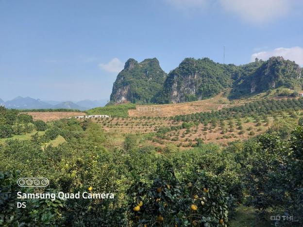 Bán đất Kim Bôi 15ha đất có mạch nước nóng, view tuyệt đẹp, làm du lịch nghỉ dưỡng cần bán gấp 13508624