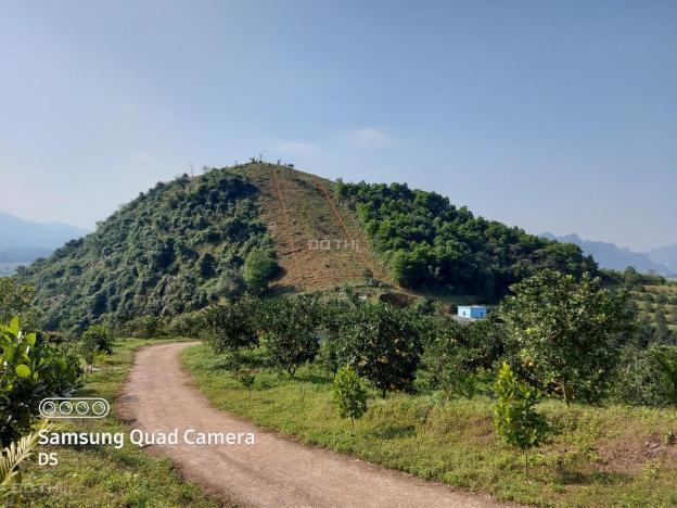 Bán đất Kim Bôi 15ha đất có mạch nước nóng, view tuyệt đẹp, làm du lịch nghỉ dưỡng cần bán gấp 13508624