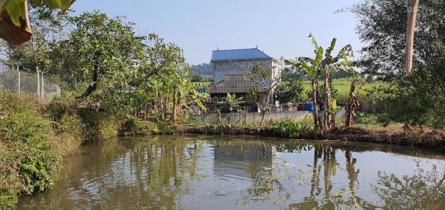 Bán trang trại đất thổ cư chính chủ tại Cao Phong - Hòa Bình 13511824