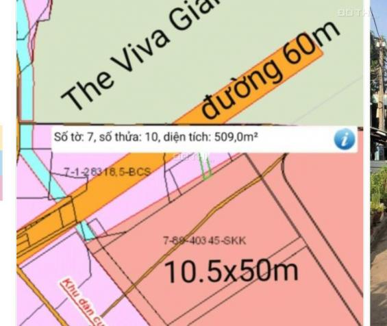 Bán đất tại đường Bắc Sơn - Long Thành, Tam Phước, Biên Hòa,ĐN diện tích 509m2 chỉ 3 tỷ 300tr 13513614