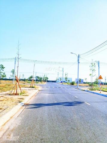 Bán khu đất 2ha MT Quốc Lộ 1A Thị Trấn Phan Rí, đã làm xong hạ tầng và sổ đỏ 13514797