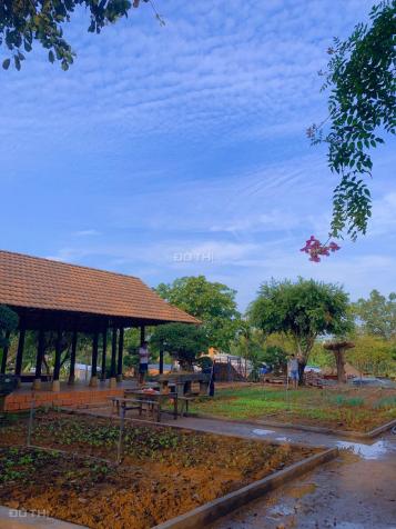 Bán trang trại nhà đất xã Xuân Tâm, huyện Xuân Lộc, Đồng Nai 13514932