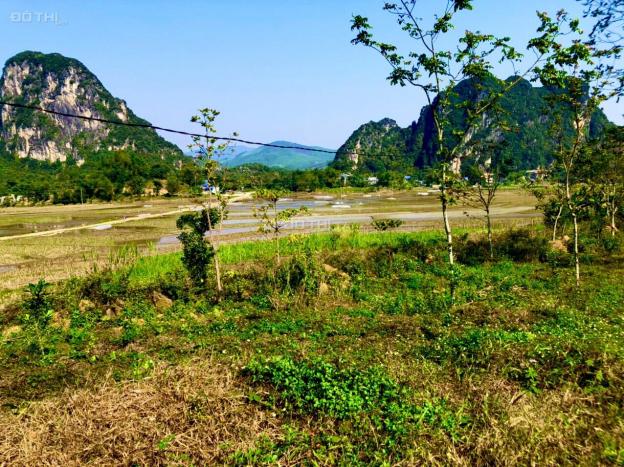 Bán 8000m2 đất Kim Bôi, Hoà Bình có 980m2 đất thổ cư đẹp view núi - chính chủ giá 1,1 tỷ 13516454