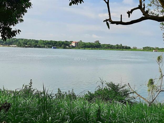 Bán gấp 6000m2 đất bám hồ lớn nhất ở Lương Sơn, Hòa Bình giá chỉ hơn 700 nghìn/m2 13518057