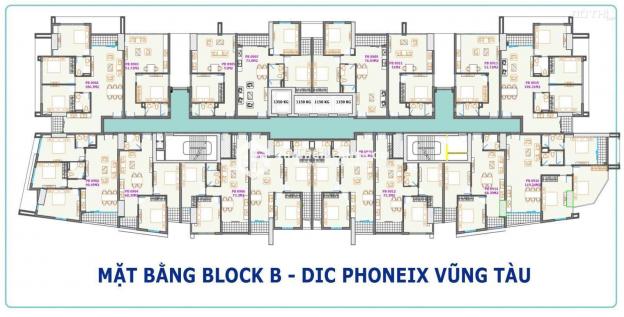 Cần bán căn hộ chung cư Phoenix b 3 phòng ngủ giá 3.5 tỷ view hồ siêu đẹp và lãng mạng 13520199