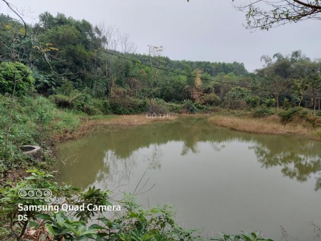 Bán đất Lương Sơn 4300m view thoáng, sẵn ao to, gần sân golf Skylake giá chưa đến triệu/m2 13522412