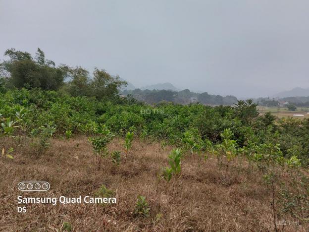 Bán đất Lương Sơn gần 2800m2 view cánh đồng, gần sân golf giao thông thuận tiện, giá 1 triệu/m2 13522654