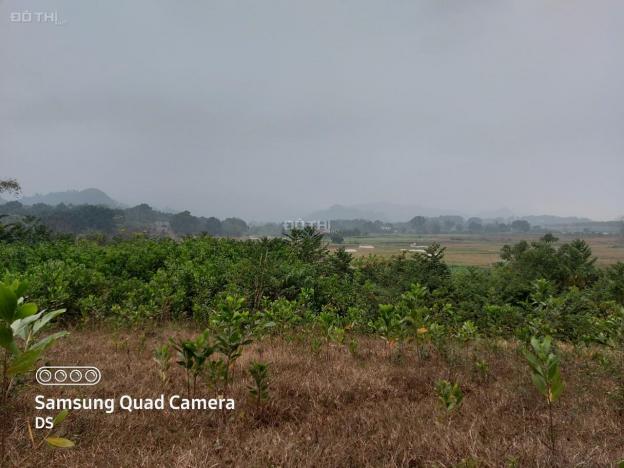 Bán đất Lương Sơn gần 2800m2 view cánh đồng, gần sân golf giao thông thuận tiện, giá 1 triệu/m2 13522654