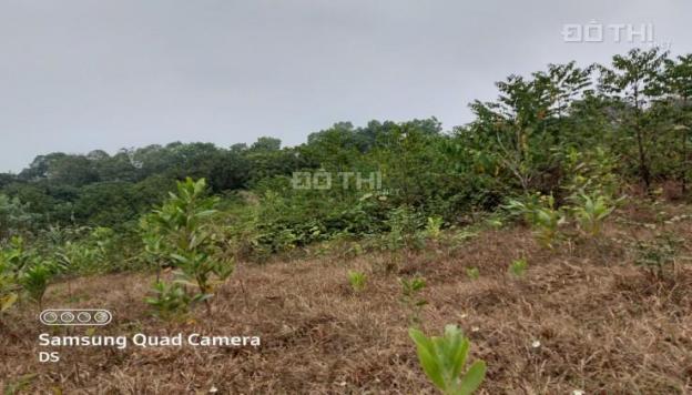 Bán đất Lương Sơn gần 2800m2 view cánh đồng, gần sân golf giao thông thuận tiện giá chỉ hơn 1 tr/m2 13528144