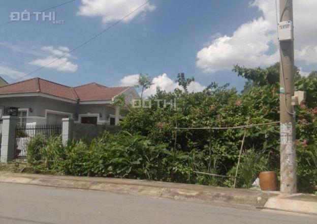 Bán ngay thửa đất siêu rẻ mặt tiền đường Đào Sư Tích, xã Phước Lộc, huyện Nhà Bè 13536313