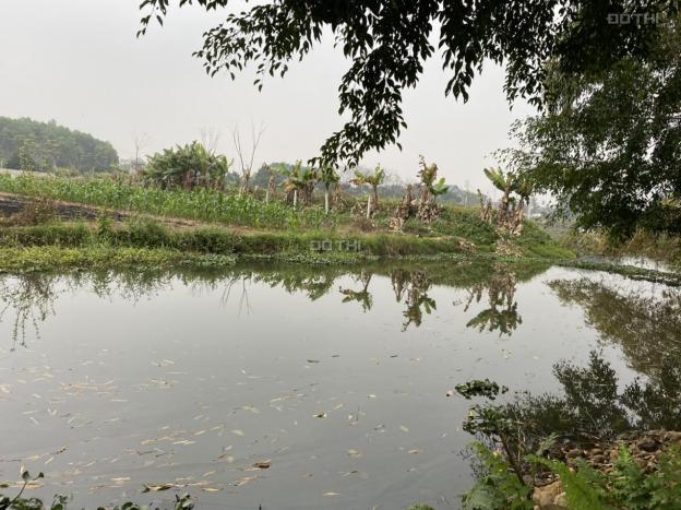 Chính chủ gửi bán lô đất nghỉ dưỡng view hồ tại Ba Trại, Ba Vì 13538897