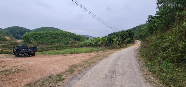 Cơ hội sở hữu ngay 30ha đất rừng sản xuất giá đầu tư tại Kỳ Sơn, Hòa Bình. 13550127