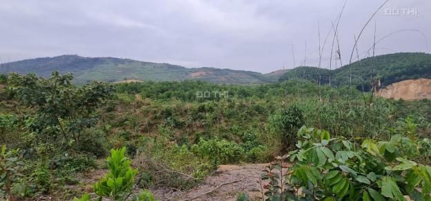 Cơ hội sở hữu ngay 30ha đất rừng sản xuất giá đầu tư tại Kỳ Sơn, Hòa Bình. 13550127