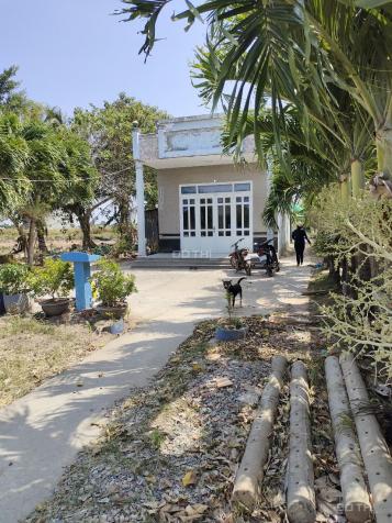 Chính chủ bán gấp lô căn nhà tại phường Nhà Mát, TP Bạc Liêu, tỉnh Bạc Liêu 13551159
