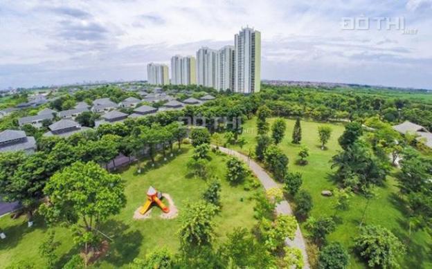 Bán căn hộ tại Ecopark Văn Giang nhận chiết khấu từ CĐT 13553438