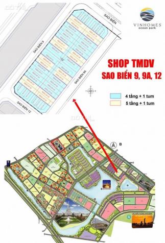 Mở bán shophouse TMDV Sao Biển giá gốc k chênh đi thẳng ra hồ Vinhomes Ocean Park, LH 0911781333 13554317
