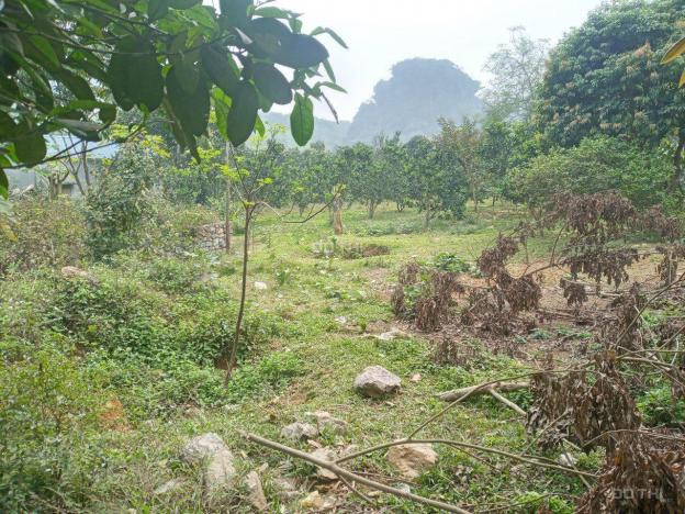 Cần bán 1.500m2 đất thổ cư bám mặt đường liên xã tại Lương Sơn, Hòa Bình 13554963