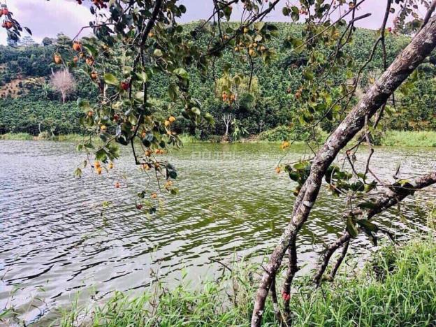 Nhanh tay sở hữu lô đất view hồ nằm ngay xã Xuân Trường, Đà Lạt 13555751
