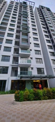 Cần cho thuê căn hộ chung cư Emerald - Tân Phú - TP. HCM 13562020
