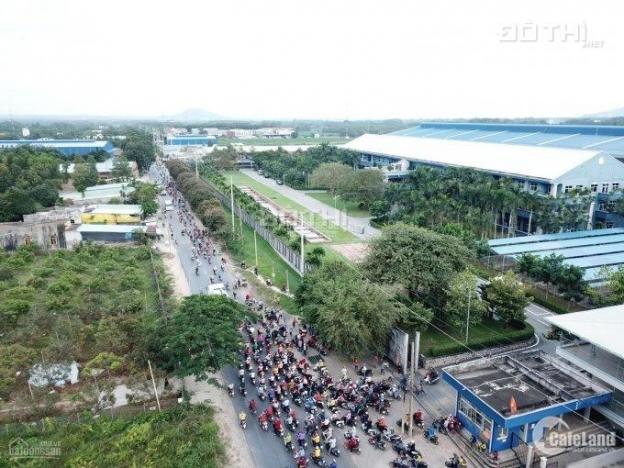 Đường 81 - Thị xã Phú Mỹ - Bà Rịa Vũng Tàu